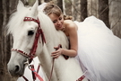 лошадь на свадьбу